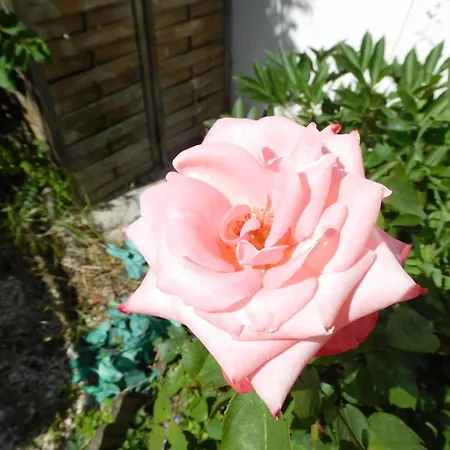 Rustique Avec Salle De Jeux Et Animaux En Campagne - Fr-1-426-336 * Saint-Julien-des-Landes