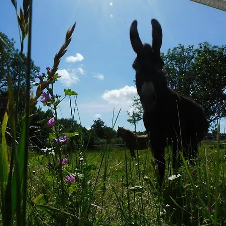 Rustique Avec Salle De Jeux Et Animaux En Campagne - Fr-1-426-336 Hébergement de vacances *