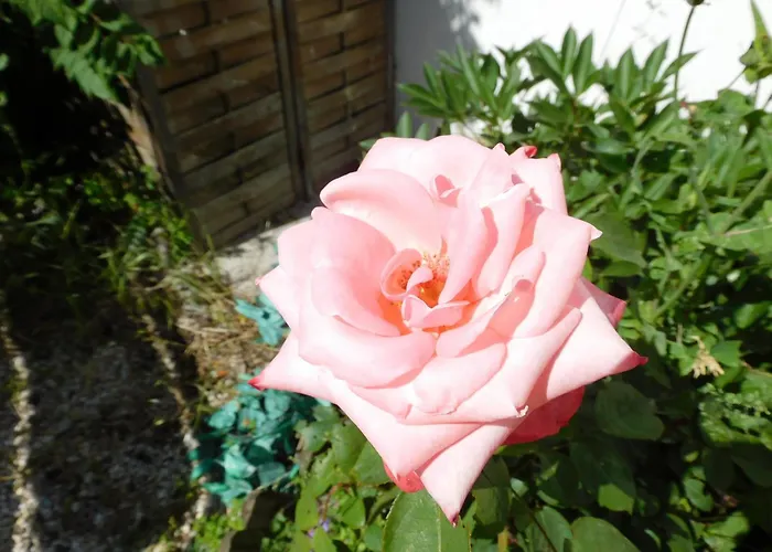 Rustique Avec Salle De Jeux Et Animaux En Campagne - Fr-1-426-336 * Saint-Julien-des-Landes