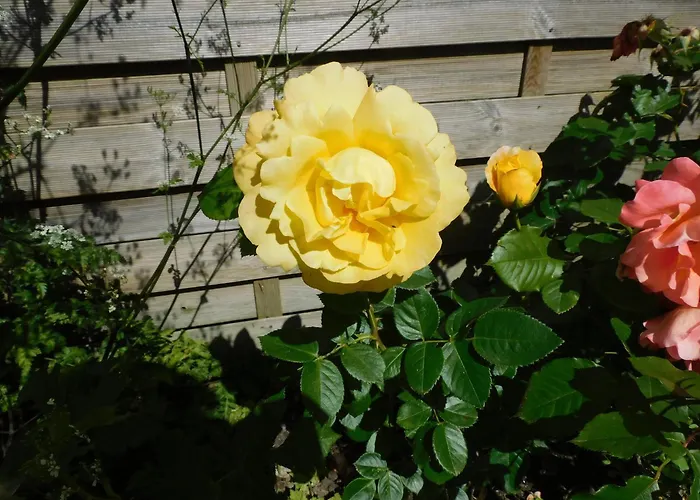 Rustique Avec Salle De Jeux Et Animaux En Campagne - Fr-1-426-336 Saint-Julien-des-Landes